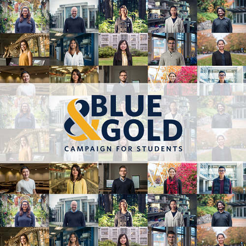 Blue and Gold Campaign for Students collage